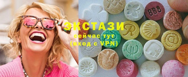 стаф Гатчина